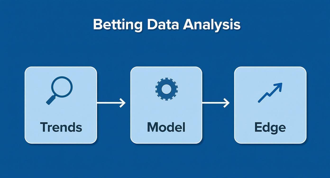 Infographic about sports betting data