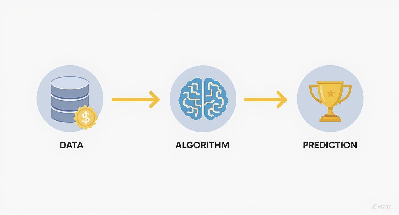 Infographic about ai betting prediction