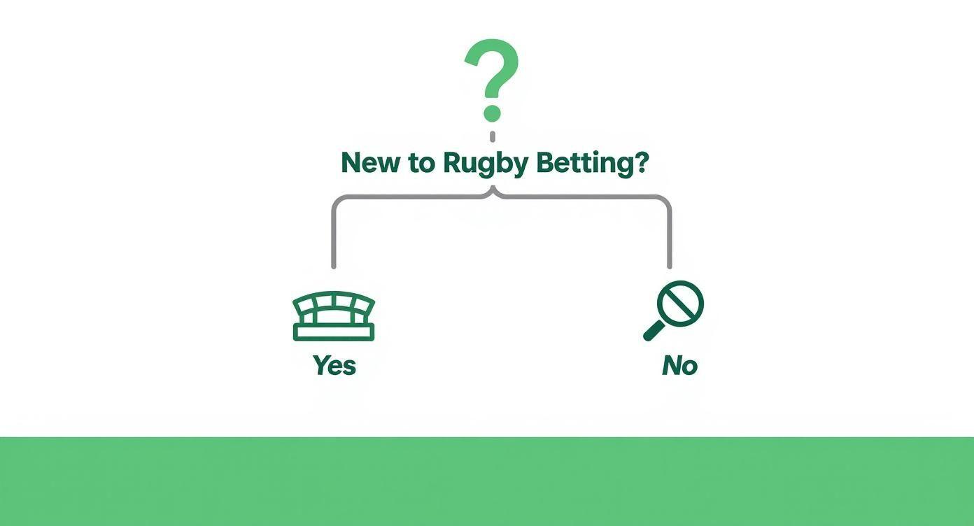 Infographic about betting on the rugby