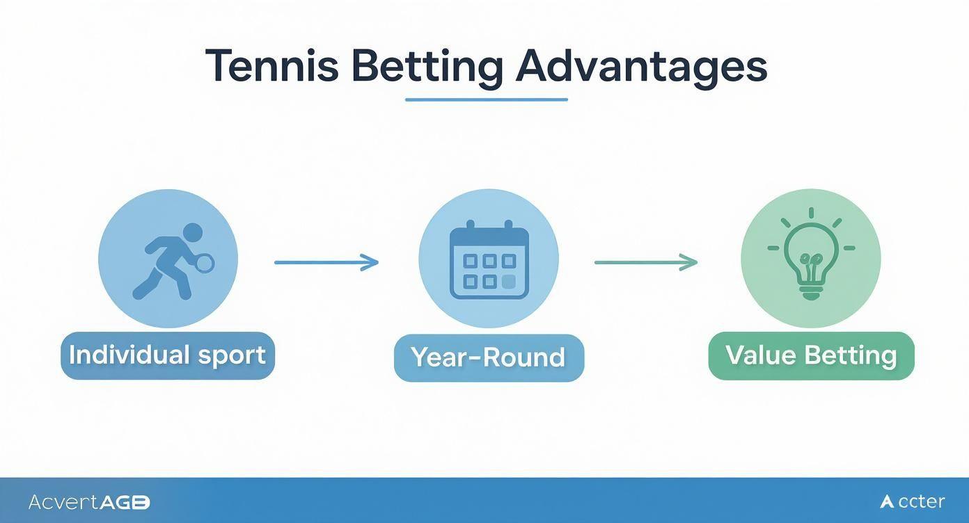 Infographic about betting on tennis