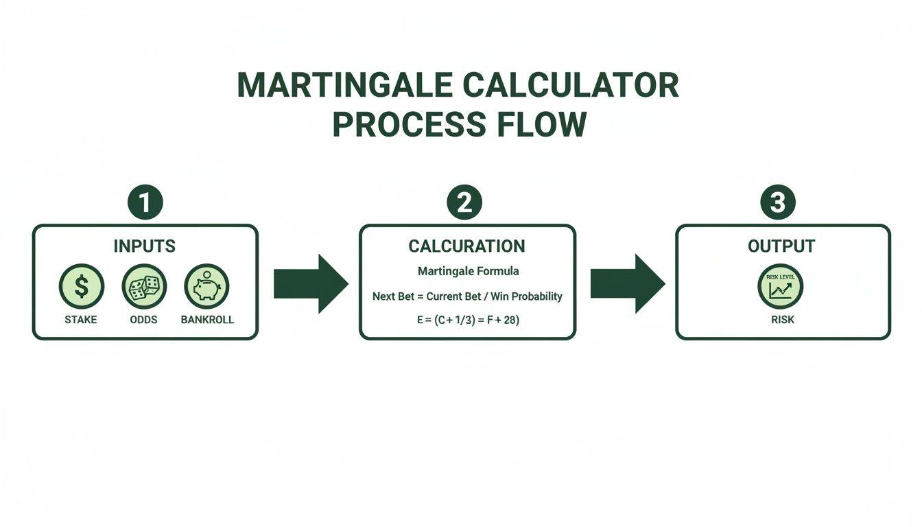 Martingale calculator process flow diagram showing inputs, calculation steps, and risk output.