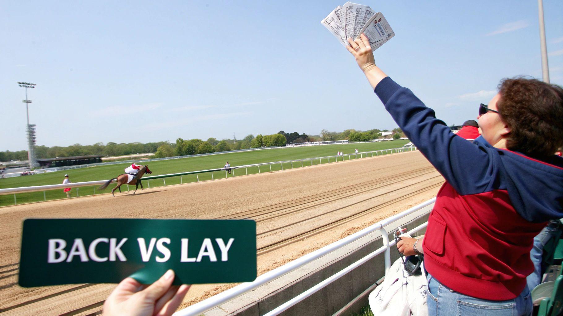 A person placing a bet online, symbolizing the act of laying odds.